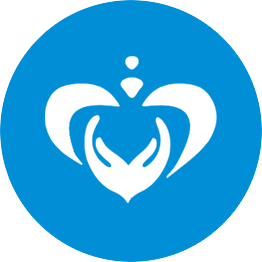 Carelog logo